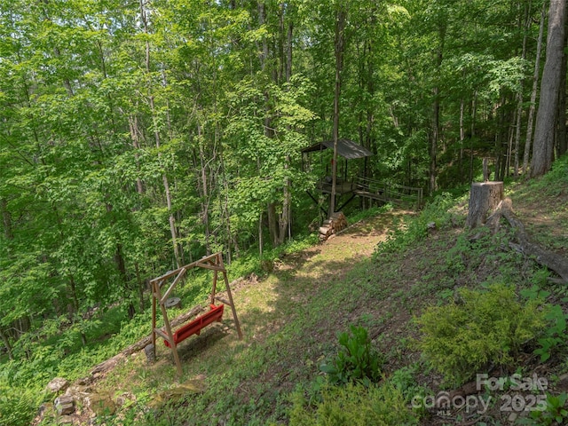 1185 Mule Stomp Rd, Clyde, NC 28721 - view of tree filled area