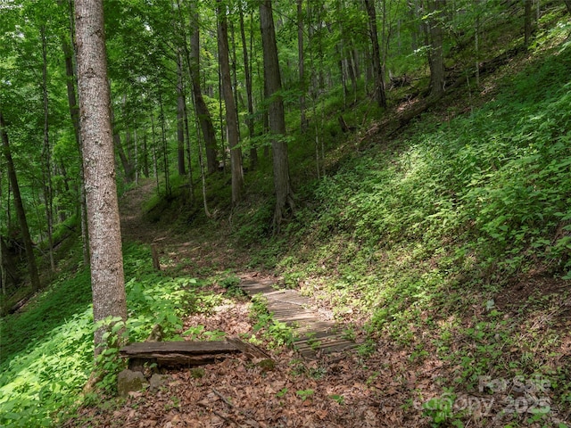 1185 Mule Stomp Rd, Clyde, NC 28721 - view of wooded area