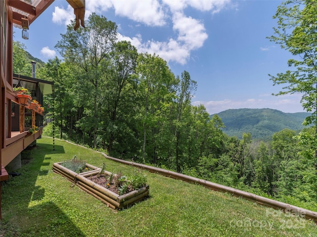 1185 Mule Stomp Rd, Clyde, NC 28721 - view of grassy yard featuring a mountain view and a wooded view