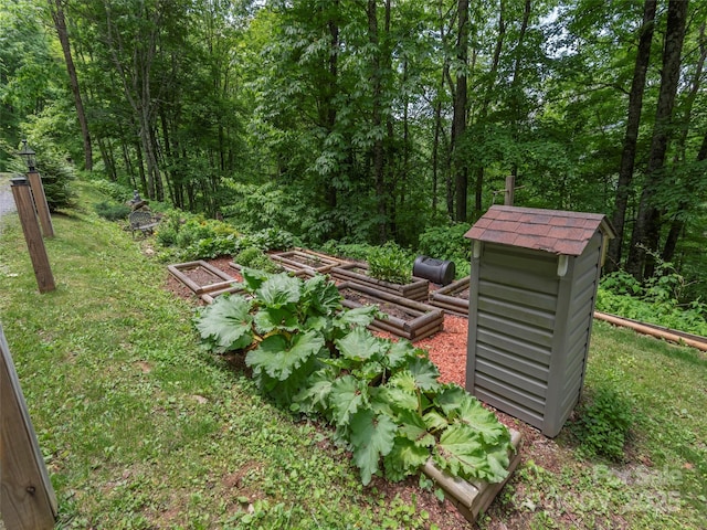 1185 Mule Stomp Rd, Clyde, NC 28721 - exterior view of a vegetable garden and a heavily wooded area