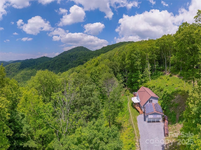 1185 Mule Stomp Rd, Clyde, NC 28721 - mountain view featuring a heavily wooded area