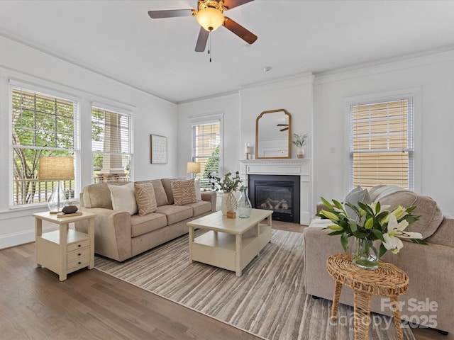 living room featuring hardwood / wood-style flooring, ceiling fan, and ornamental molding