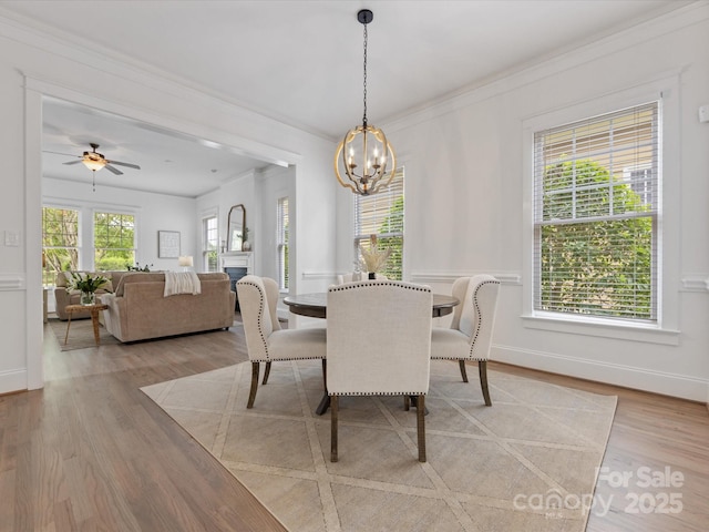 dining room with plenty of natural light, crown molding, light wood-type flooring, and ceiling fan with notable chandelier