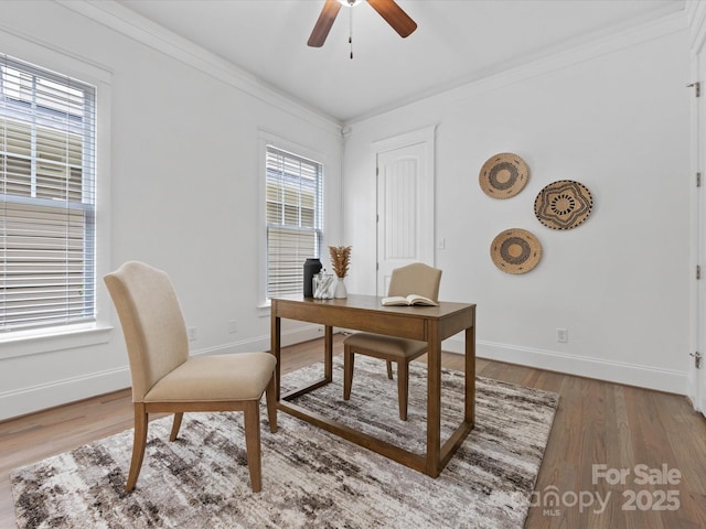 office with crown molding, ceiling fan, and hardwood / wood-style flooring