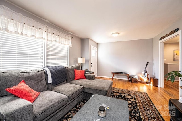 living room featuring wood-type flooring