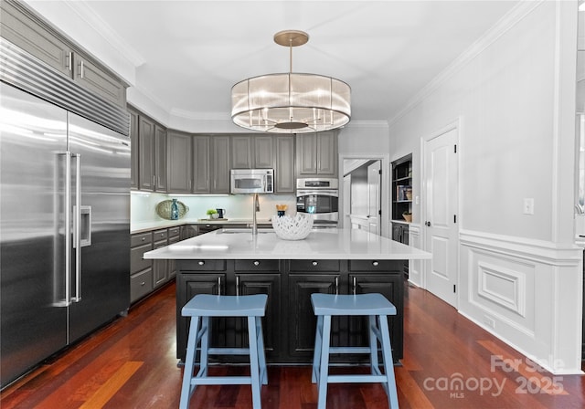 kitchen with dark hardwood / wood-style flooring, ornamental molding, stainless steel appliances, gray cabinets, and an island with sink