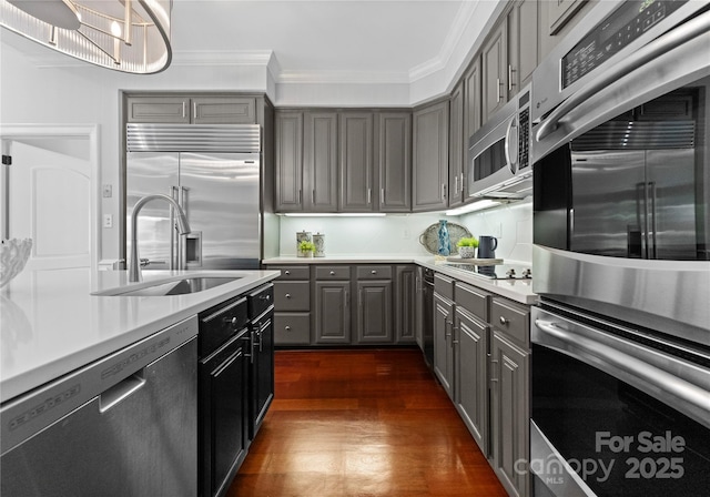 kitchen with gray cabinetry, crown molding, sink, dark hardwood / wood-style floors, and appliances with stainless steel finishes