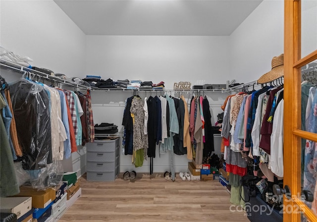 spacious closet featuring light wood-type flooring