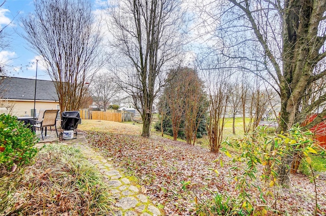 view of yard featuring a patio area