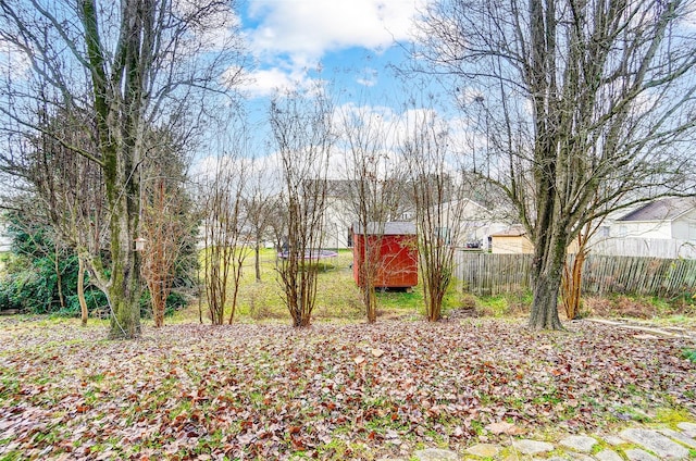 view of yard featuring a storage unit