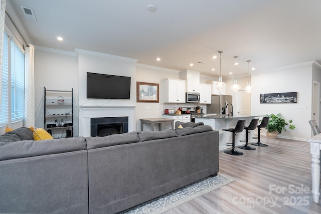 living room featuring ornamental molding, light hardwood / wood-style flooring, and a healthy amount of sunlight