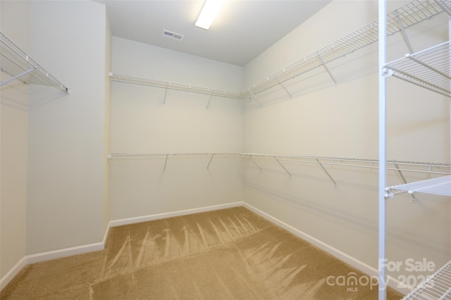 spacious closet featuring carpet and visible vents