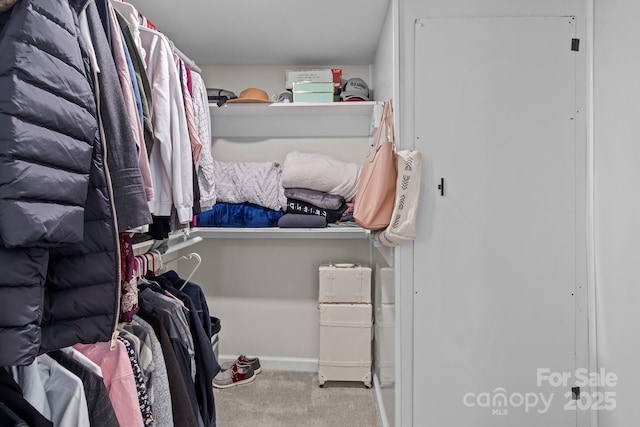 walk in closet with light carpet