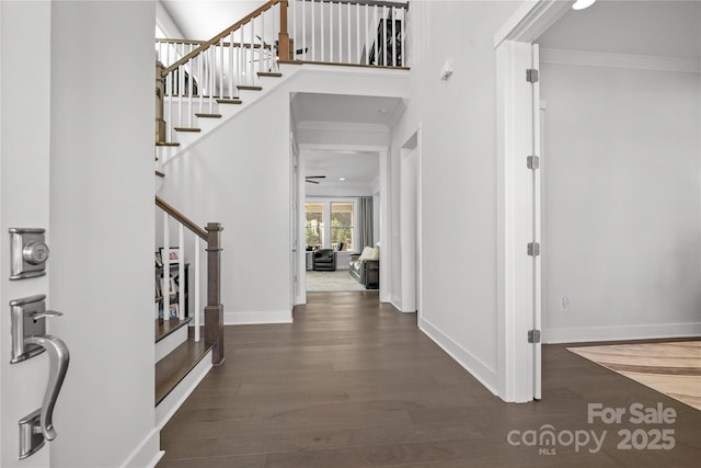 entryway with crown molding and dark wood-type flooring