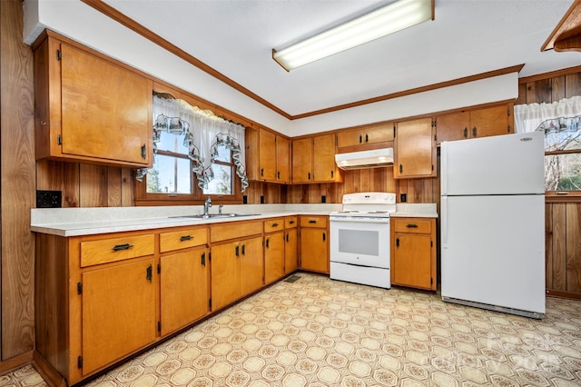 kitchen featuring plenty of natural light, white appliances, sink, and ornamental molding