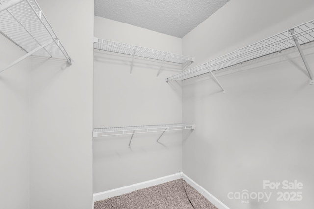 spacious closet with carpet