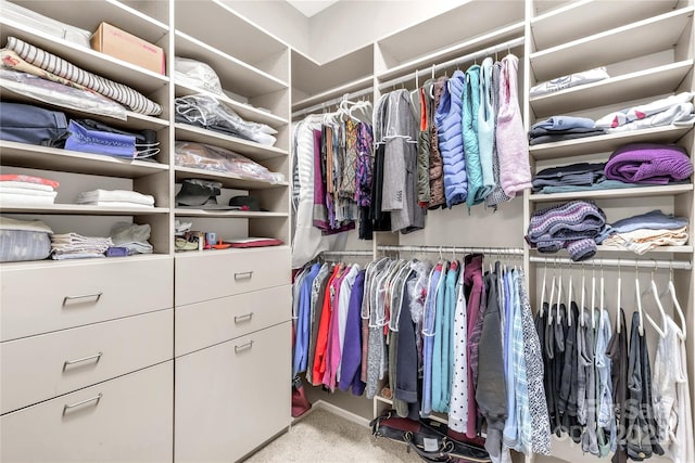 walk in closet with carpet flooring