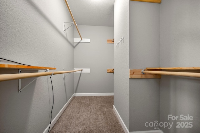 walk in closet featuring carpet