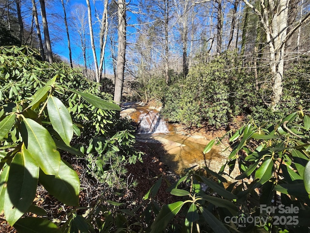 Listing photo 3 for 25 Rush Creek Rd, Black Mountain NC 28711