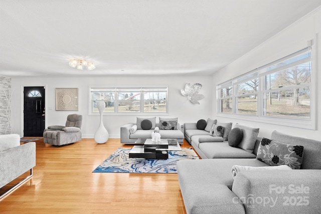 living room with hardwood / wood-style flooring