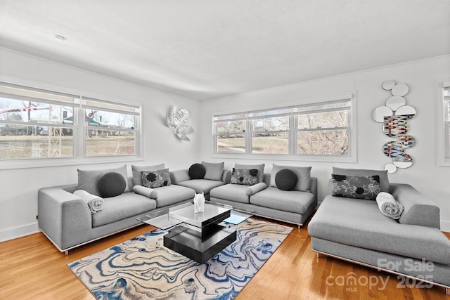 living room with hardwood / wood-style flooring