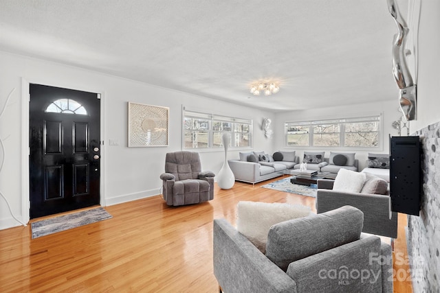 living room featuring hardwood / wood-style floors and a textured ceiling