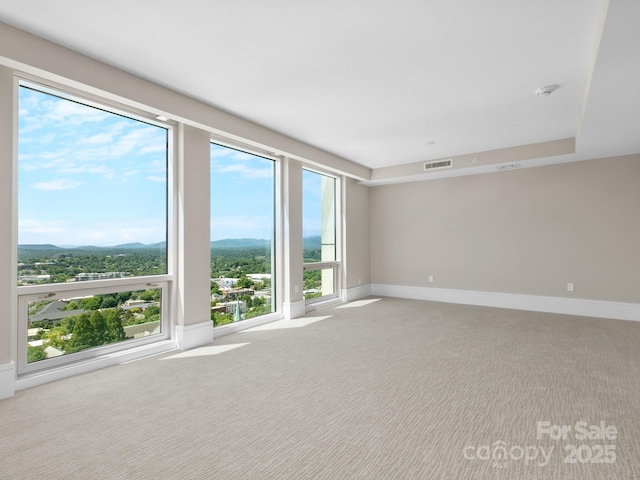 unfurnished room featuring light carpet