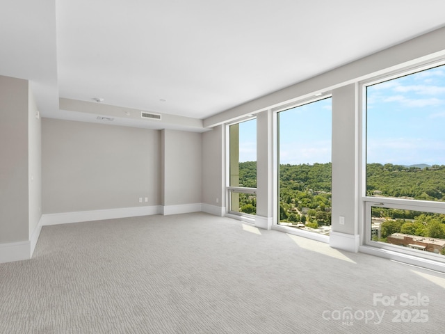 carpeted spare room with a wealth of natural light