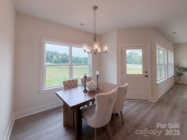 46 Griffin Rd Unit 2, Pageland, SC 29728 - dining area featuring a chandelier, baseboards, healthy amount of natural light, and wood finished floors