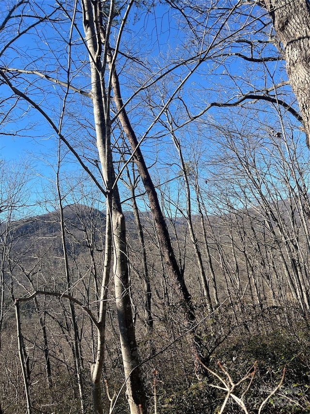 Listing photo 3 for LOT42 Hawks Nest Trl, Lake Lure NC 28746