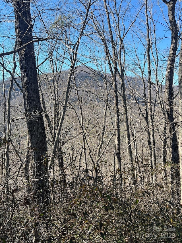 Listing photo 2 for LOT42 Hawks Nest Trl, Lake Lure NC 28746