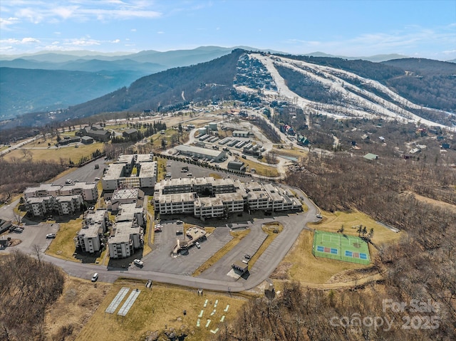 birds eye view of property featuring a mountain view