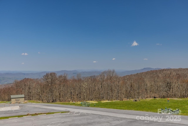 301 Pinnacle Inn Rd Unit 4313, Beech Mountain, NC 28604 - view of mountain background with a heavily wooded area