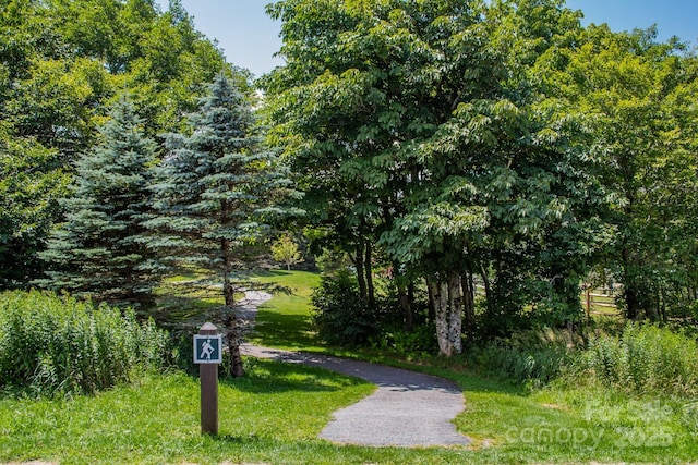 surrounding community with a lawn