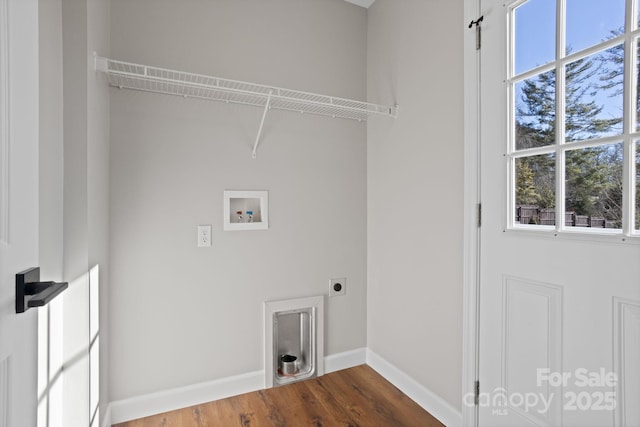 laundry area featuring electric dryer hookup, hookup for a washing machine, and wood-type flooring