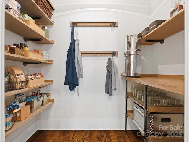 walk in closet featuring dark wood-type flooring