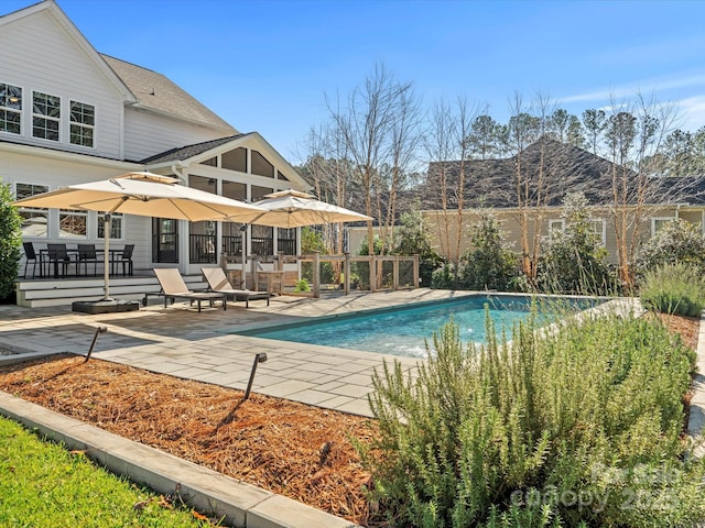 view of swimming pool with a patio