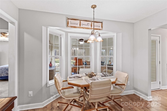 dining room with wood-type flooring and a textured ceiling