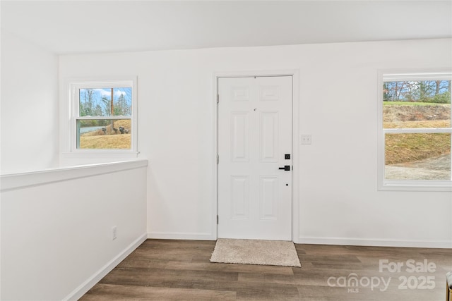 foyer entrance featuring dark wood-type flooring