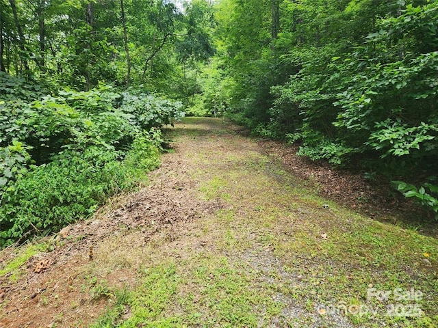 Listing photo 2 for 9 Red Leafe Trl, Sylva NC 28779