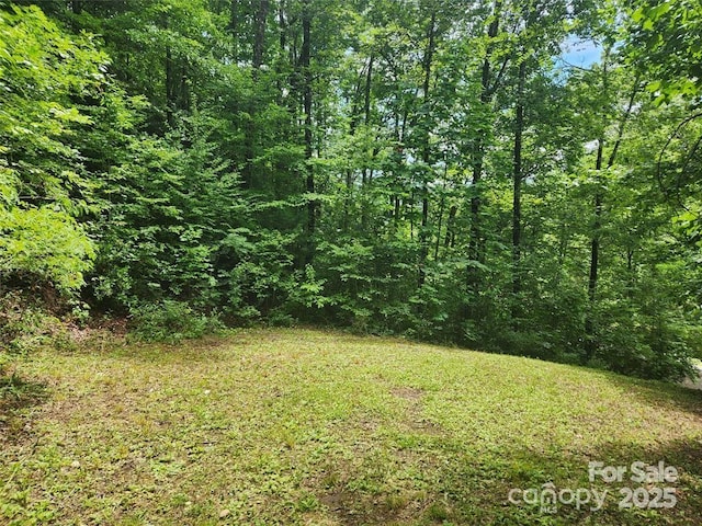 Listing photo 3 for 9 Red Leafe Trl, Sylva NC 28779