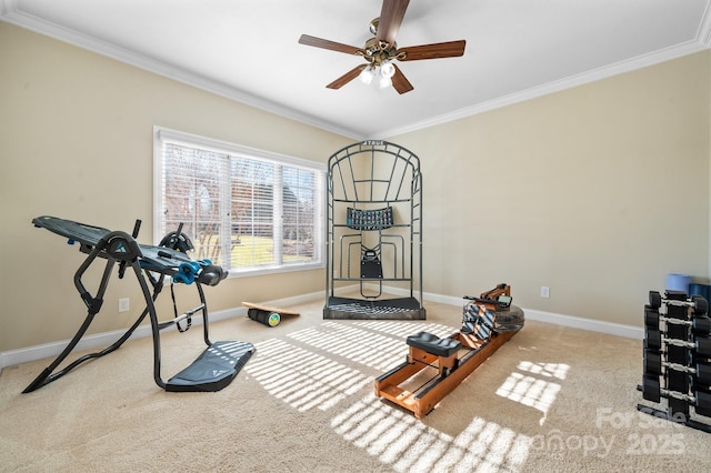 workout room with carpet floors, ceiling fan, and crown molding