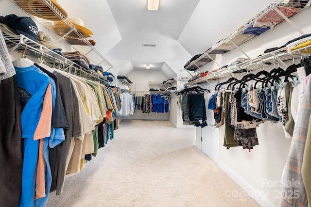 walk in closet featuring carpet floors