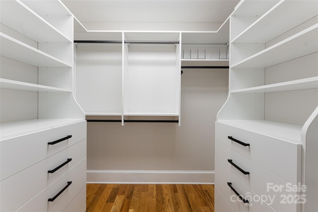 walk in closet featuring wood-type flooring