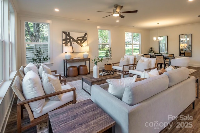 living room featuring ceiling fan with notable chandelier, a healthy amount of sunlight, wood-type flooring, and crown molding