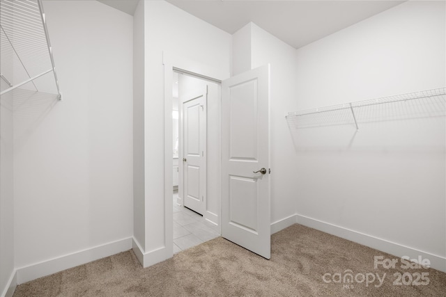 spacious closet featuring carpet flooring