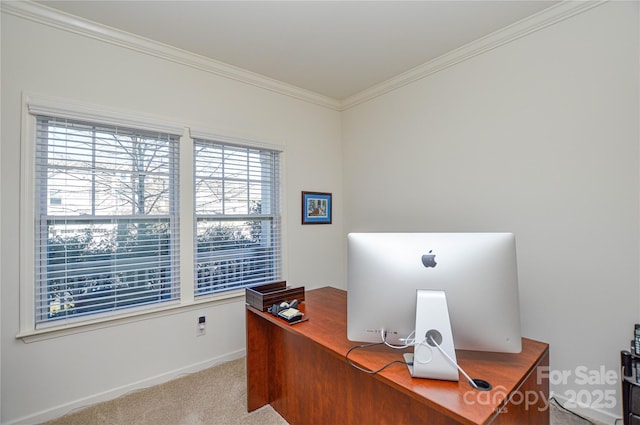 carpeted office featuring crown molding