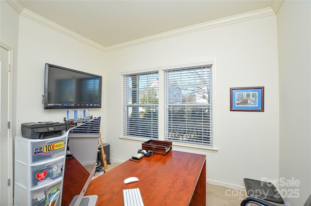 office area with carpet floors and crown molding