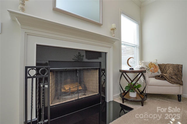 room details with carpet flooring and crown molding