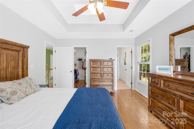 bedroom featuring a walk in closet, a raised ceiling, ceiling fan, light hardwood / wood-style flooring, and a closet